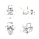 Medidas fresnel.webp