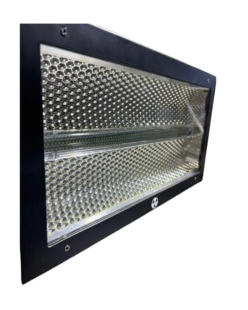 edición fotos (8).webp