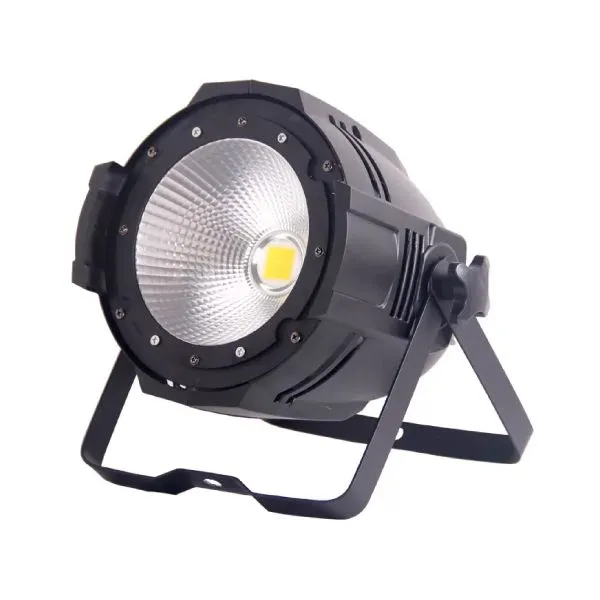 MULTIPAR COB 1 X 100W WHITE